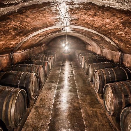 Weingut Dr Wagner Villa Saarburg Kültér fotó