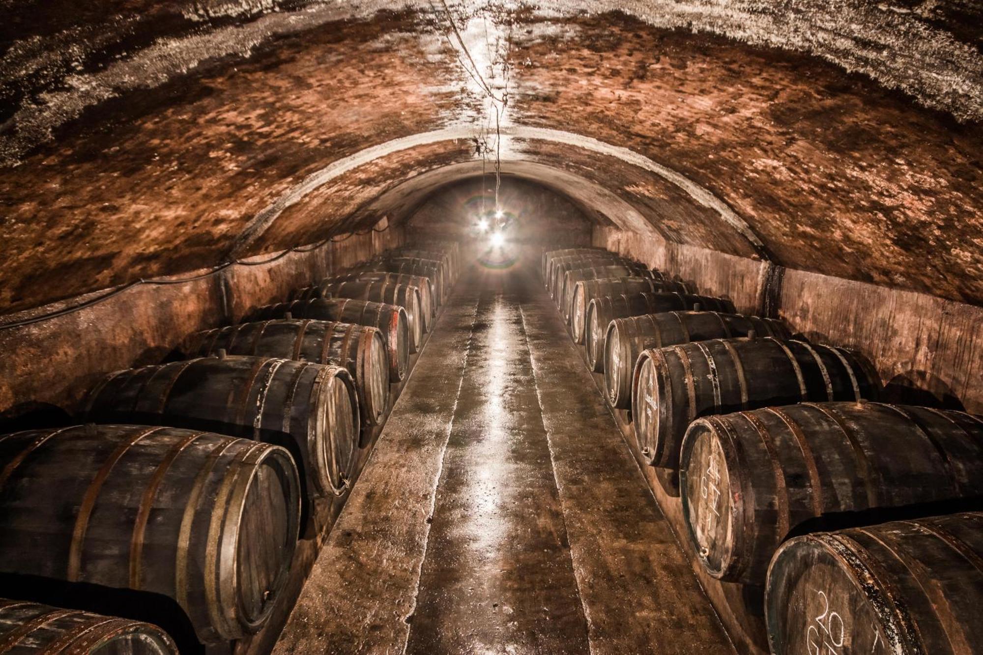 Weingut Dr Wagner Villa Saarburg Kültér fotó