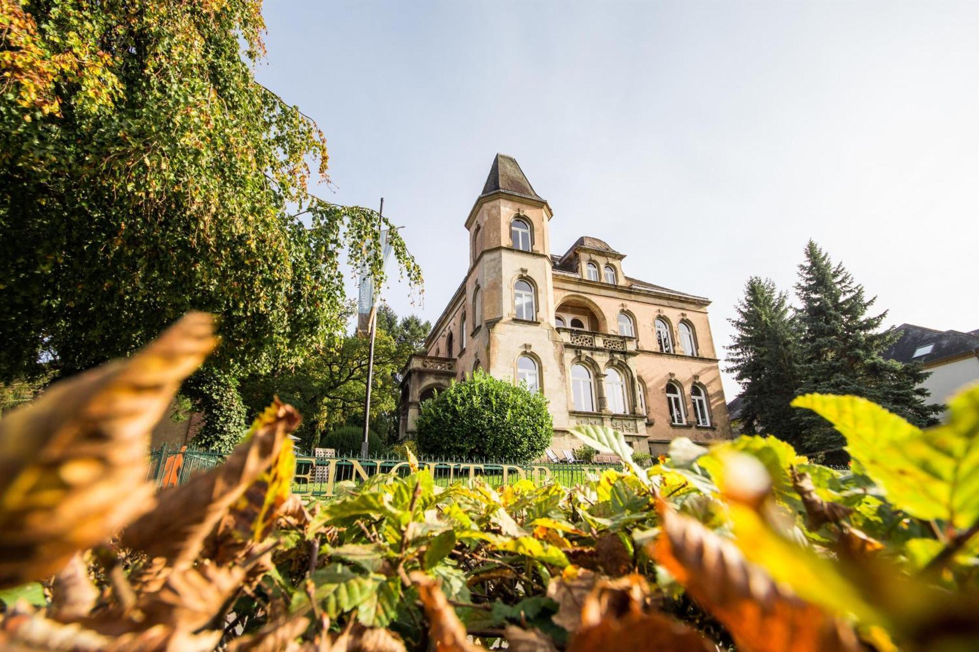 Weingut Dr Wagner Villa Saarburg Kültér fotó