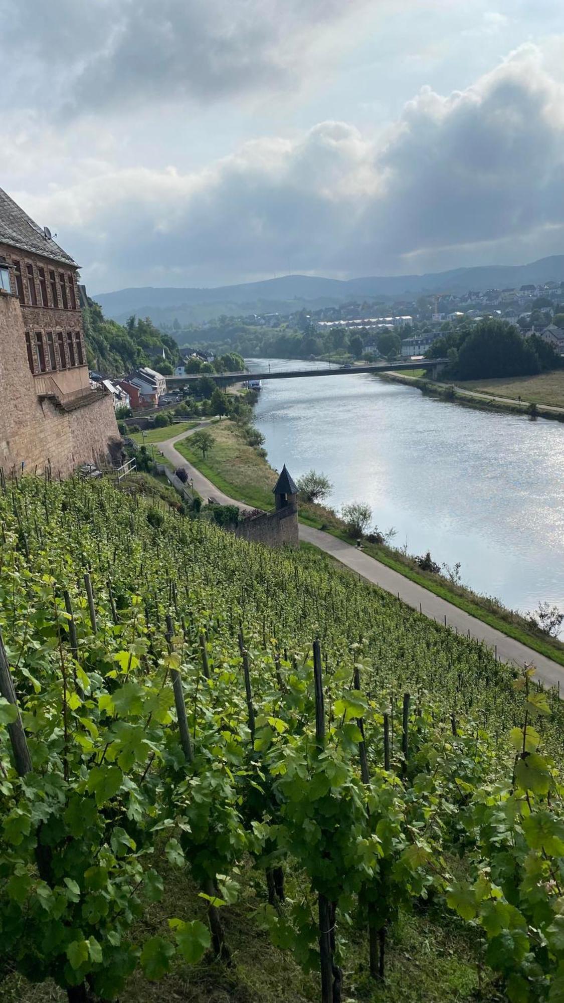 Weingut Dr Wagner Villa Saarburg Kültér fotó