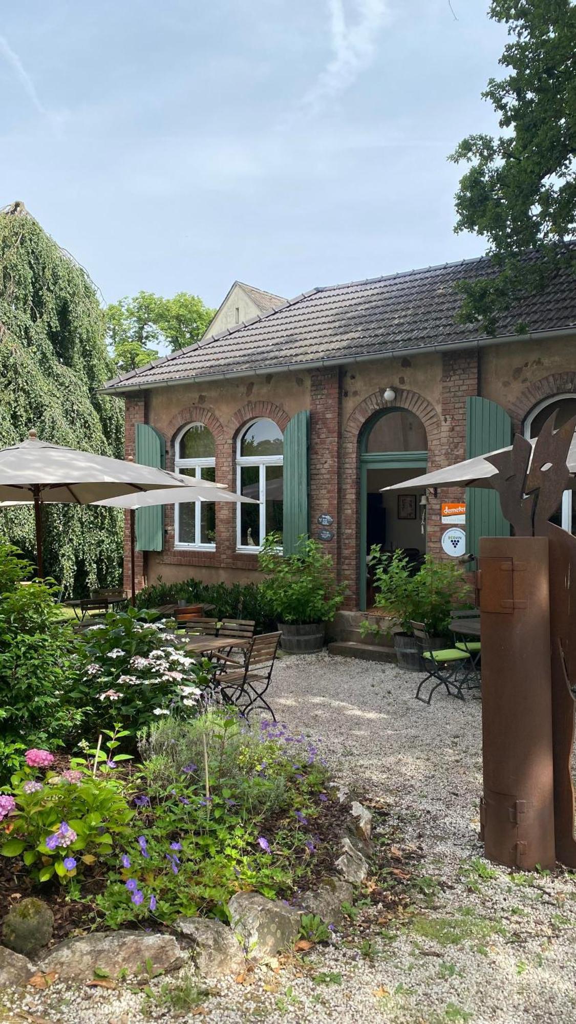 Weingut Dr Wagner Villa Saarburg Kültér fotó